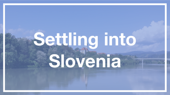 Slovenia.png